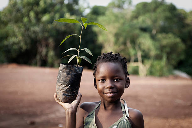 A Ugandan girl plants a fruit tree as part of a community reforestation program.